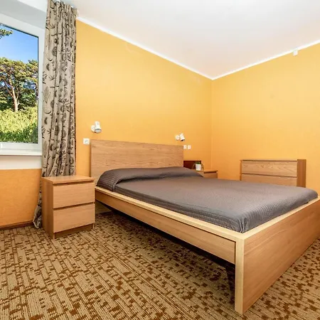 Kotedzai Zilvinelis *