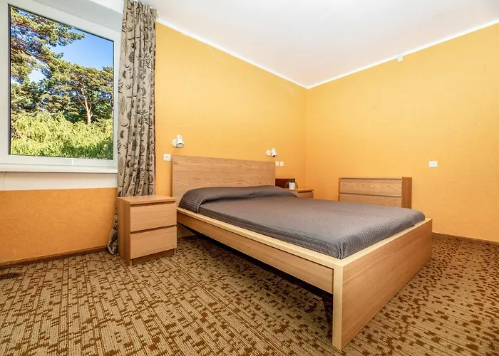 Kotedzai Zilvinelis *