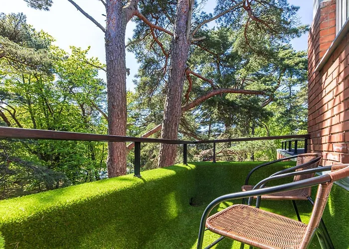 Kotedzai Zilvinelis * Palanga