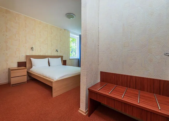 Kotedzai Zilvinelis *