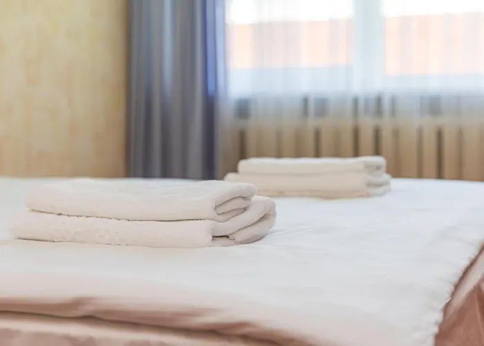 Kotedzai Zilvinelis *