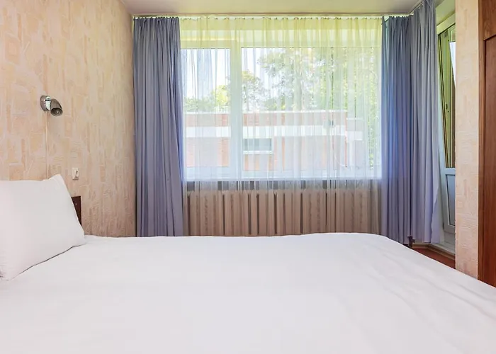 Kotedzai Zilvinelis * Palanga